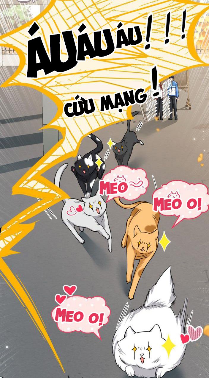 Tin Tức Tố Nói Chúng Ta Không Có Khả Năng: Chapter 27