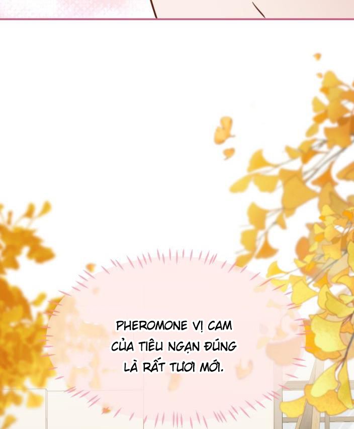 Tin Tức Tố Nói Chúng Ta Không Có Khả Năng: Chapter 27