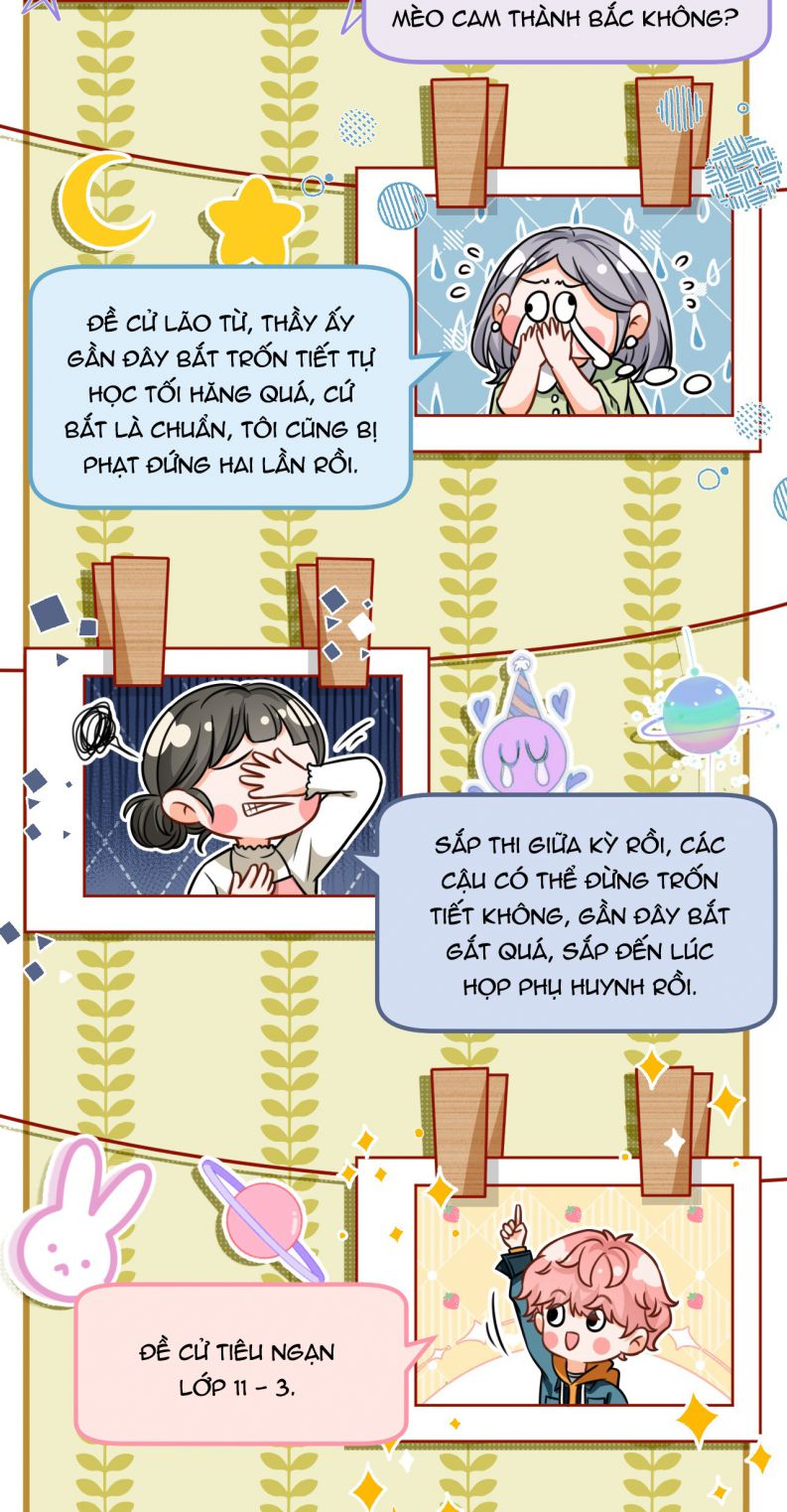 Tin Tức Tố Nói Chúng Ta Không Có Khả Năng: Chapter 39