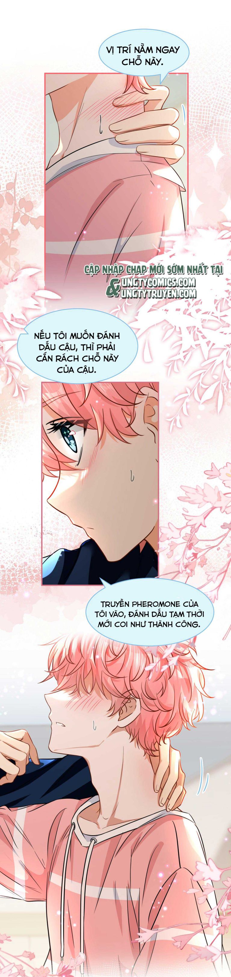 Tin Tức Tố Nói Chúng Ta Không Có Khả Năng: Chapter 48