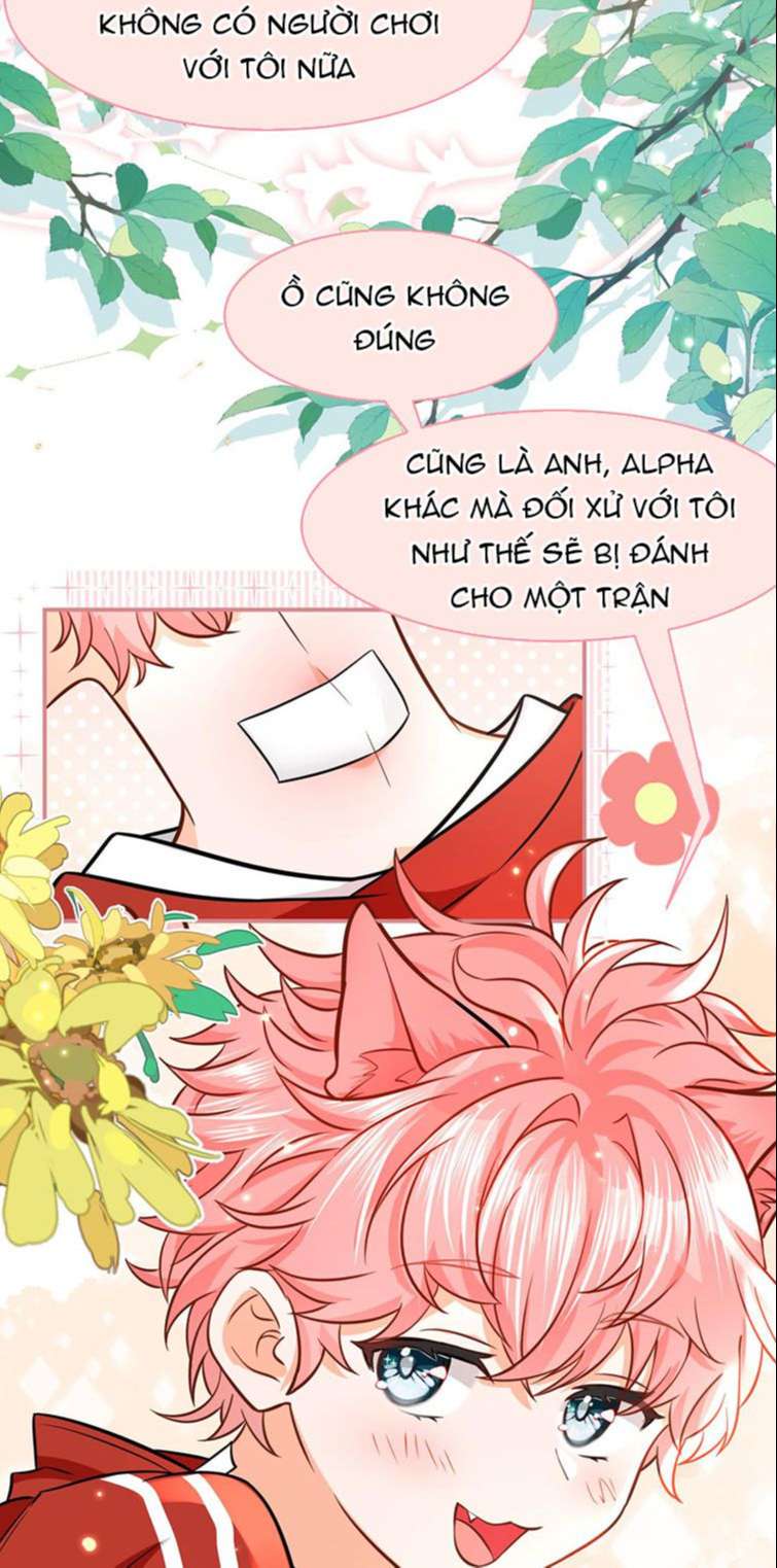 Tin Tức Tố Nói Chúng Ta Không Có Khả Năng: Chapter 60