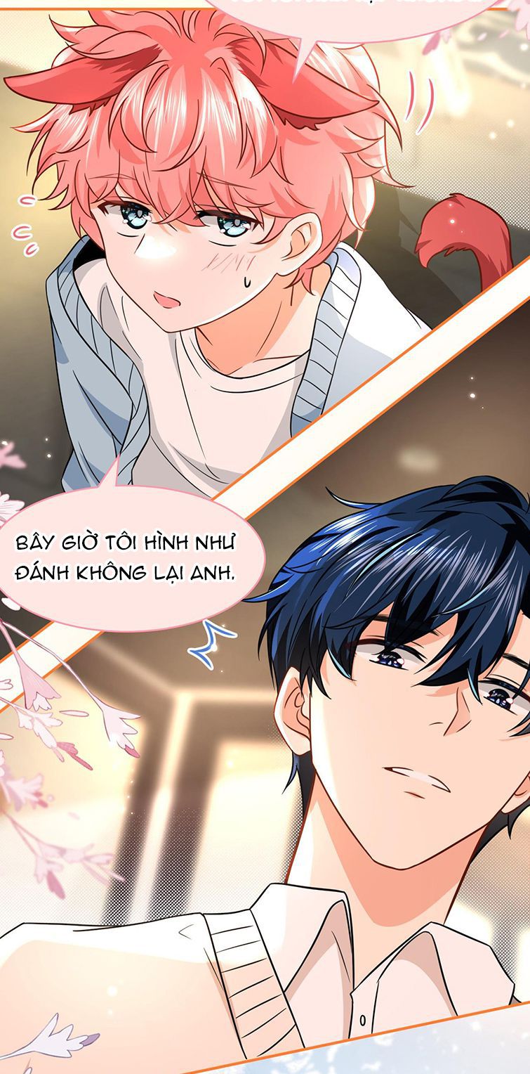 Tin Tức Tố Nói Chúng Ta Không Có Khả Năng: Chapter 63