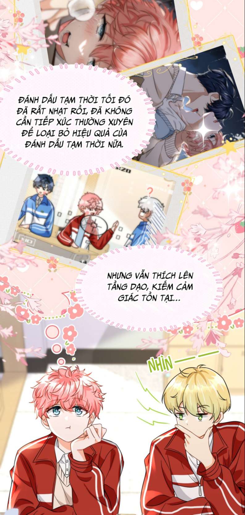Tin Tức Tố Nói Chúng Ta Không Có Khả Năng: Chapter 66