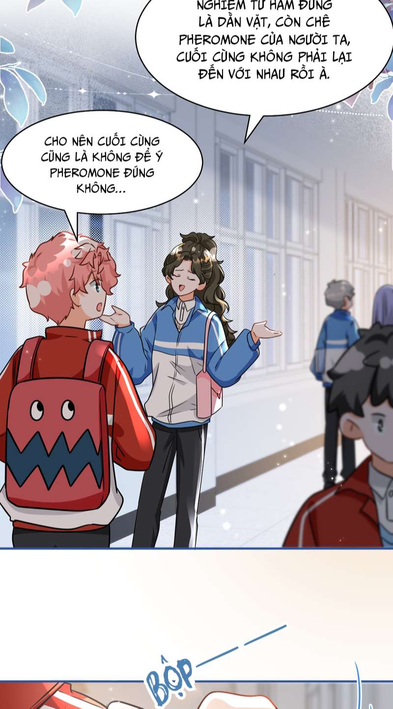 Tin Tức Tố Nói Chúng Ta Không Có Khả Năng: Chapter 67