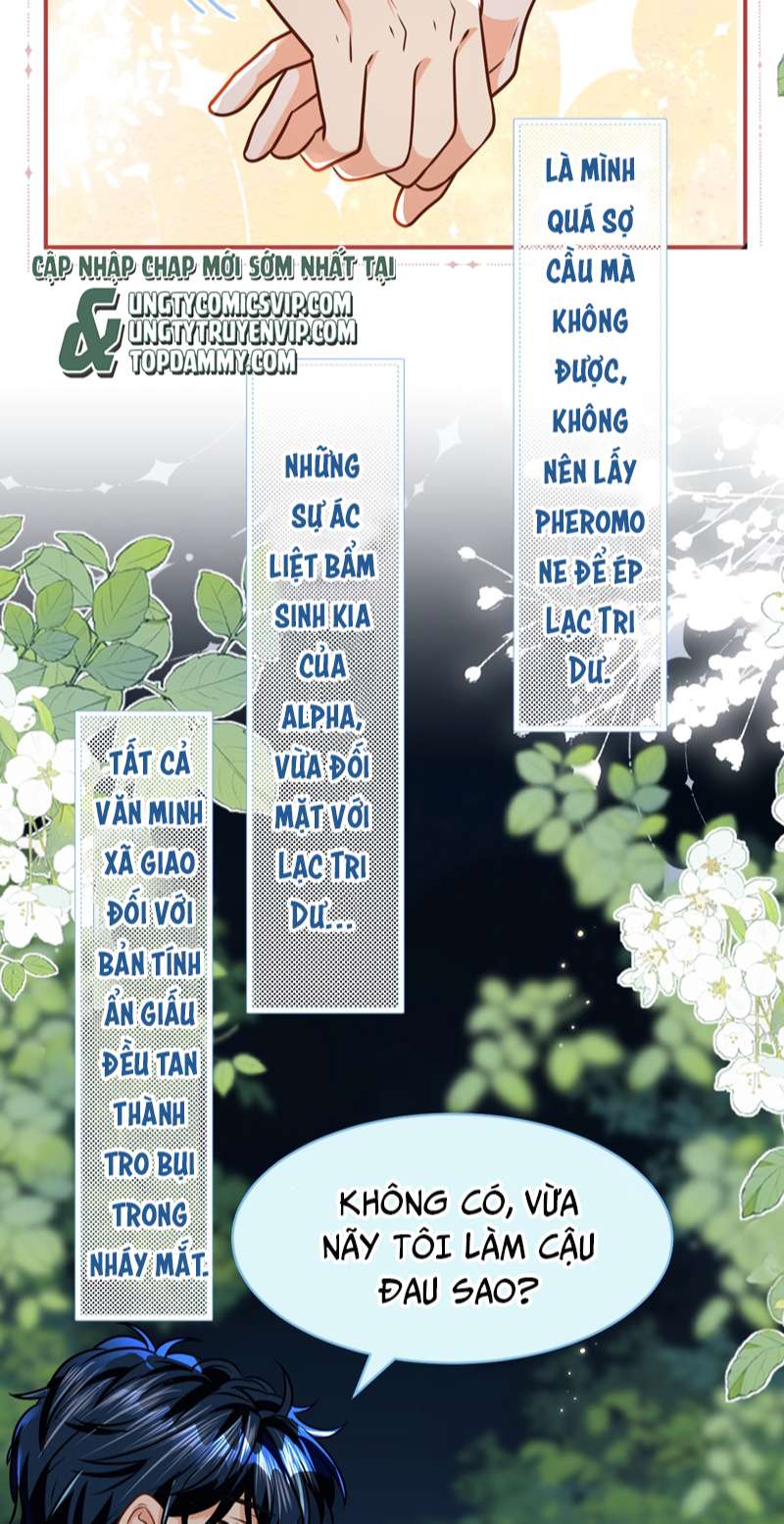 Tin Tức Tố Nói Chúng Ta Không Có Khả Năng: Chapter 67