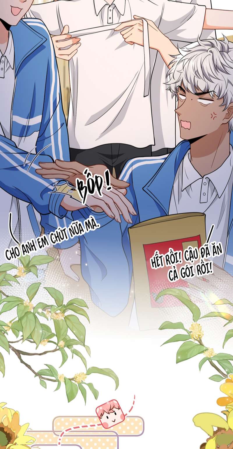 Tin Tức Tố Nói Chúng Ta Không Có Khả Năng: Chapter 70