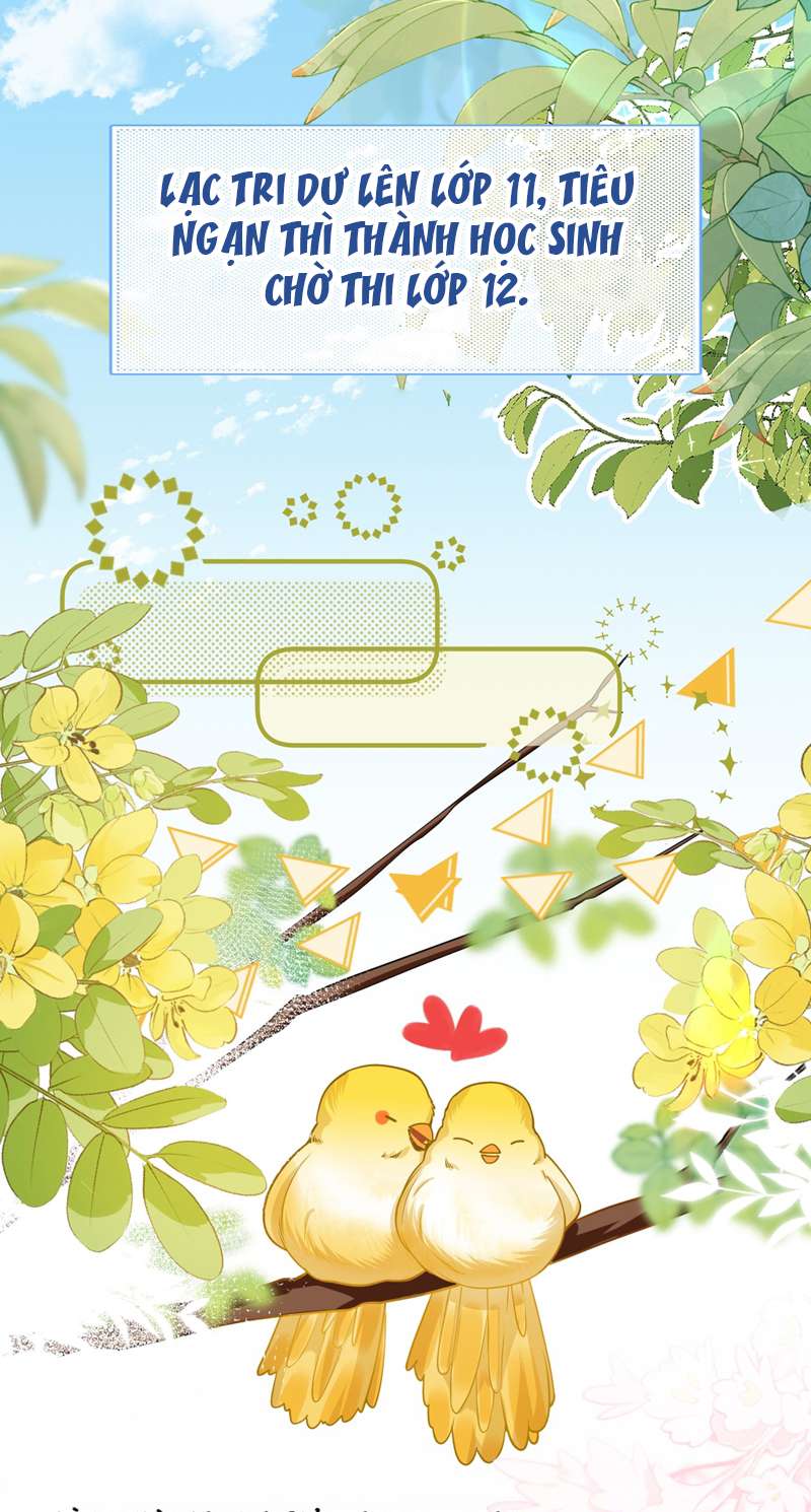 Tin Tức Tố Nói Chúng Ta Không Có Khả Năng: Chapter 70