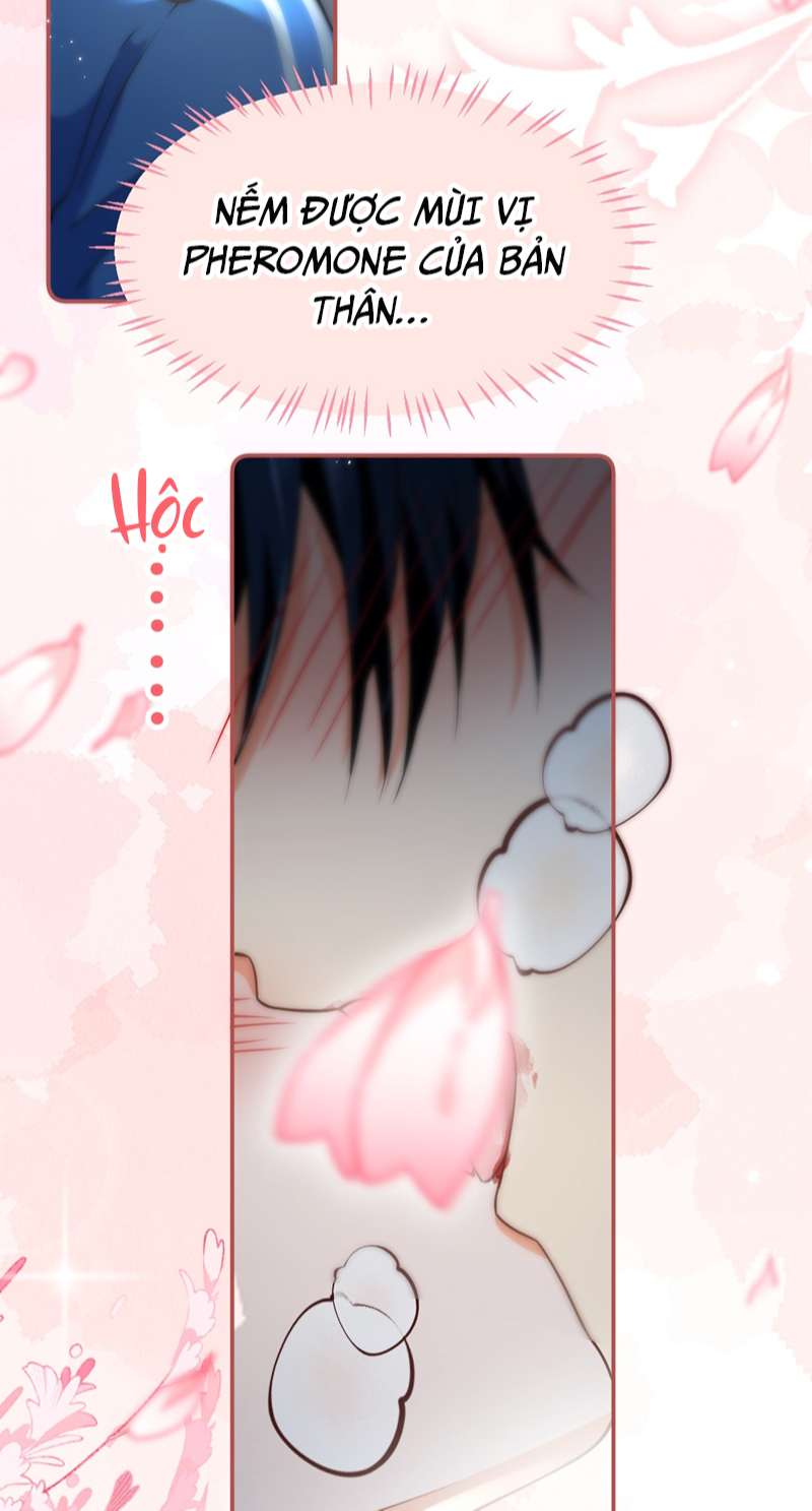 Tin Tức Tố Nói Chúng Ta Không Có Khả Năng: Chapter 72