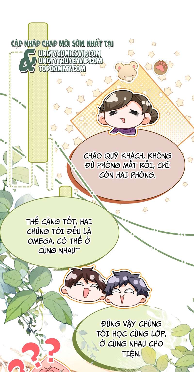 Tin Tức Tố Nói Chúng Ta Không Có Khả Năng: Chapter 73