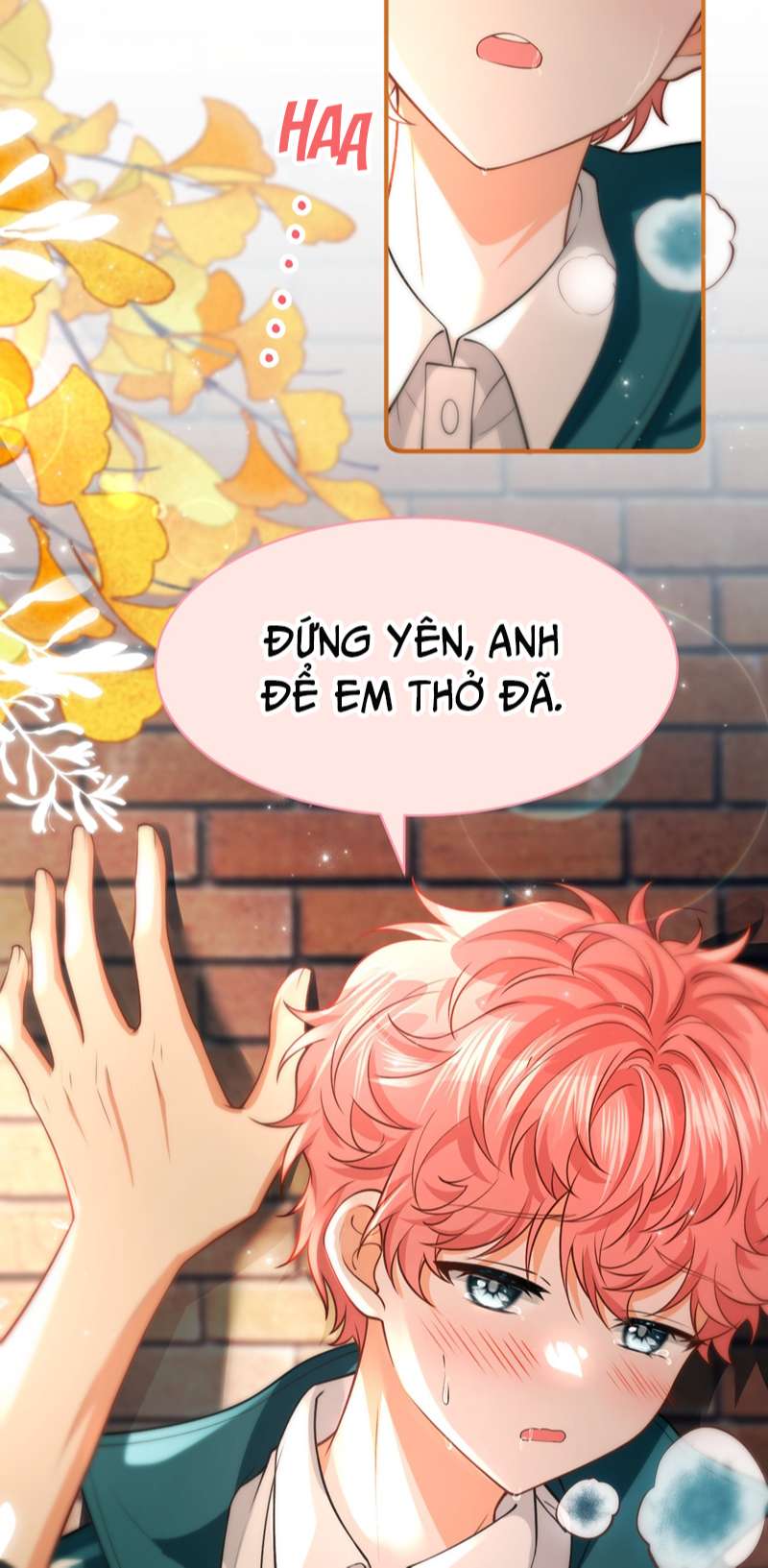 Tin Tức Tố Nói Chúng Ta Không Có Khả Năng: Chapter 80