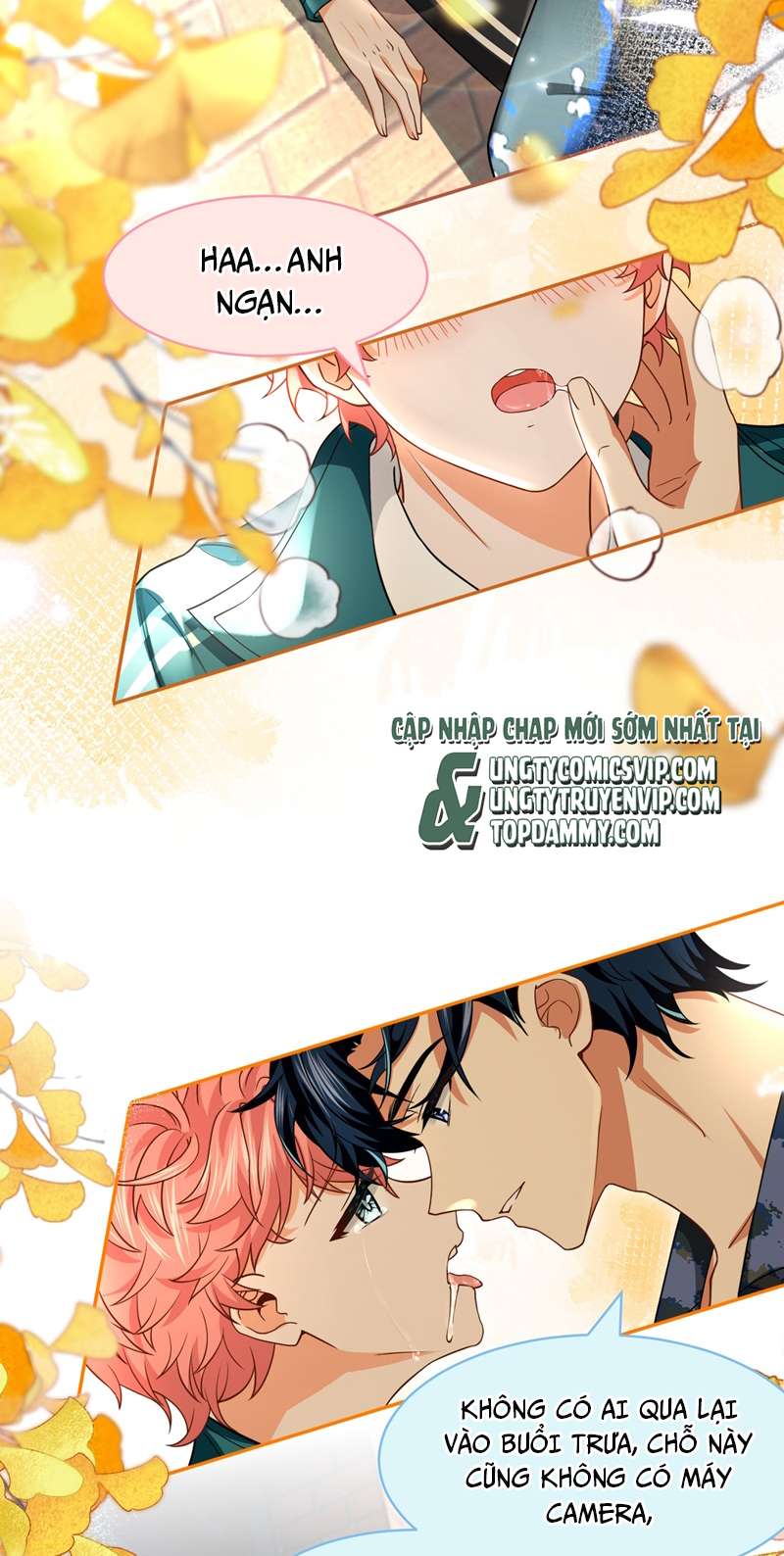 Tin Tức Tố Nói Chúng Ta Không Có Khả Năng: Chapter 80