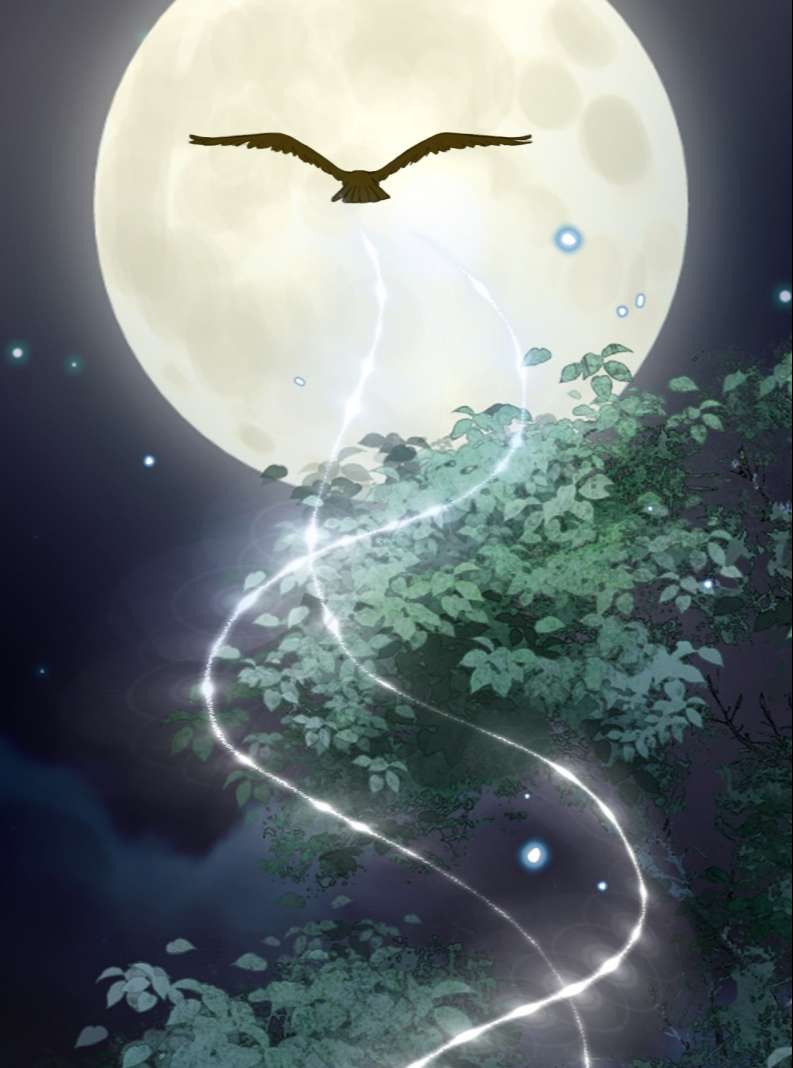 Lương Dược Giang Hồ: Chapter 5