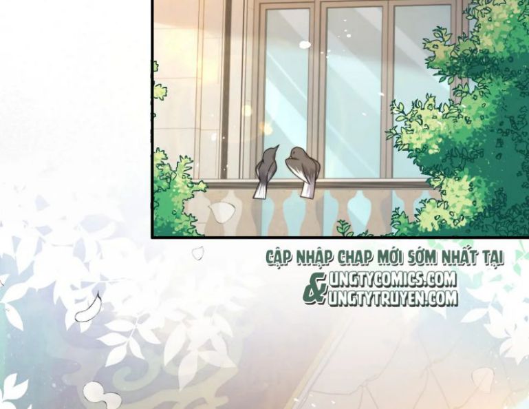 Tình Địch Mỗi Ngày Đều Trở Nên Đẹp Hơn: Chapter 24