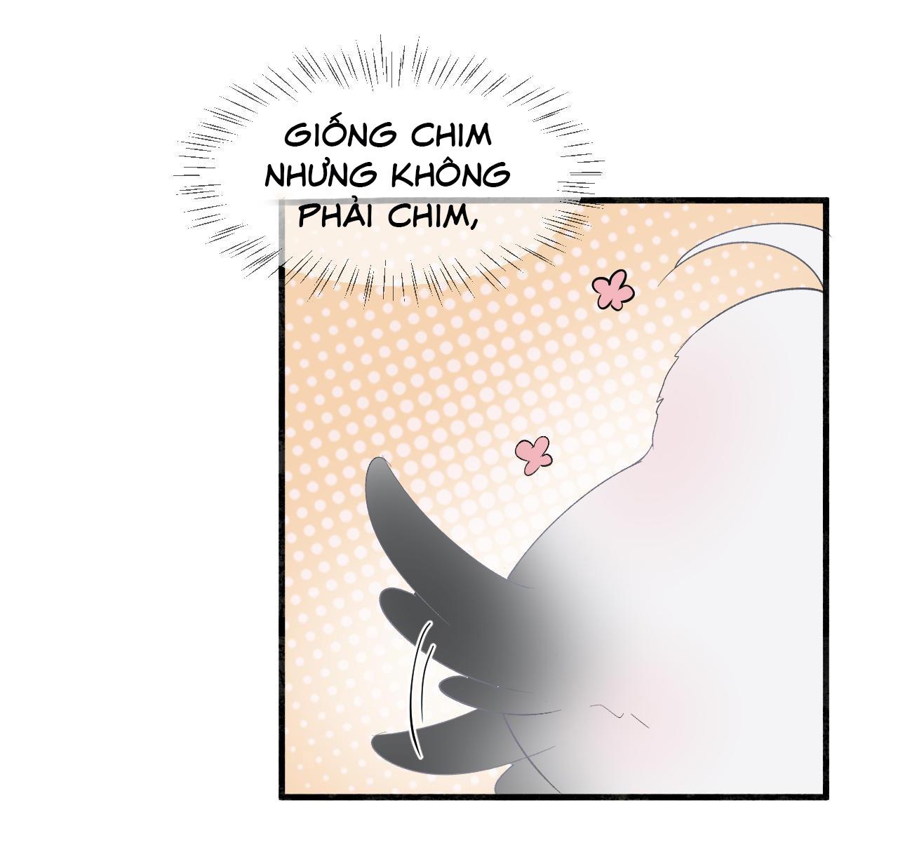 Tình Lang: Chapter 12