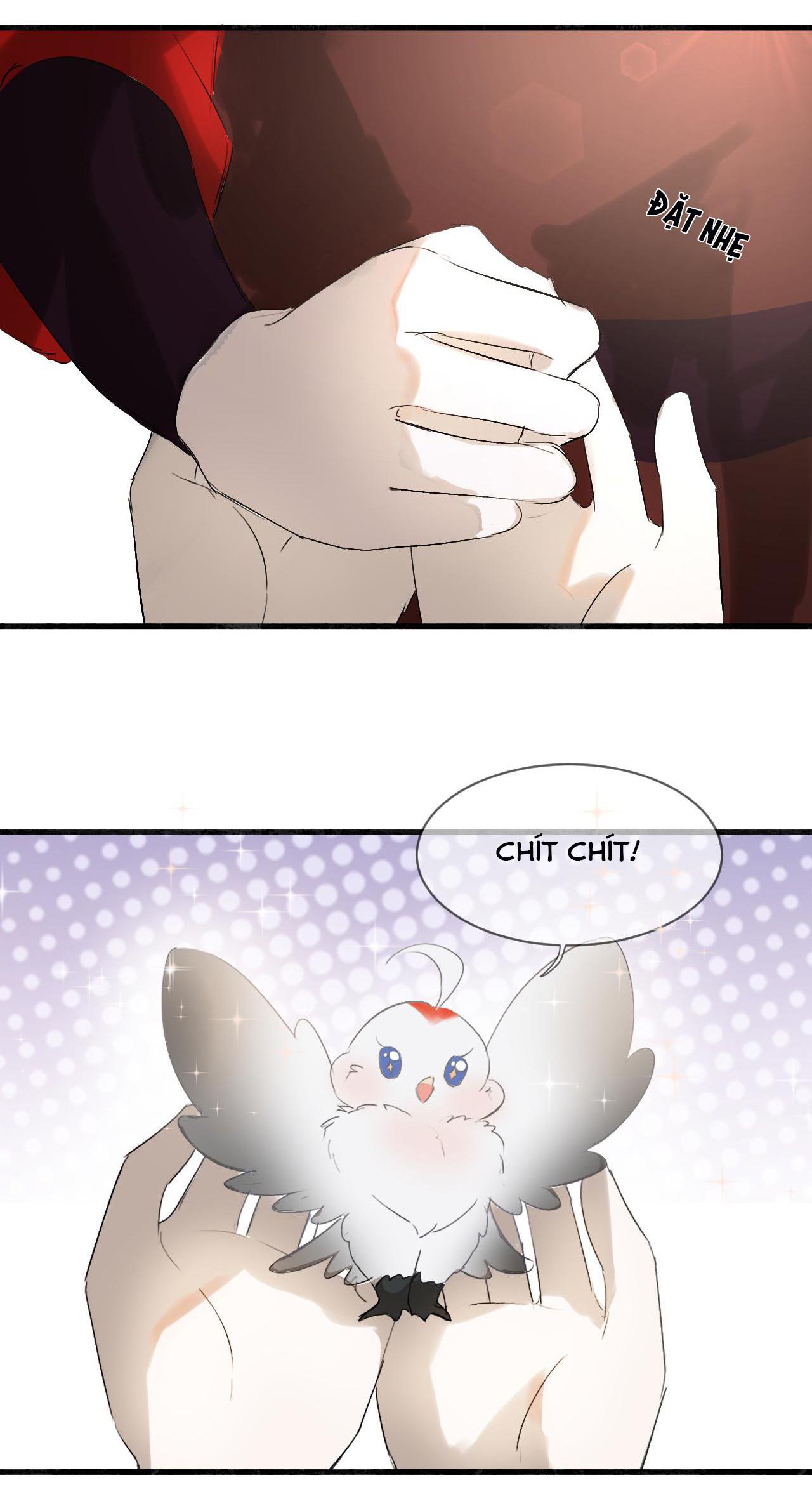 Tình Lang: Chapter 12