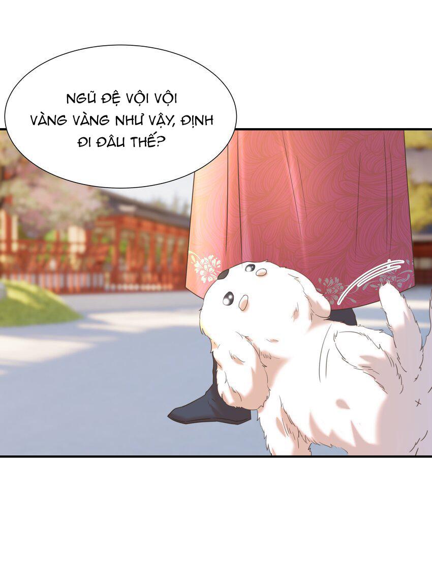 Hình Như Cầm Nhầm Kịch Bản Của Nữ Chính Rồi!: Chapter 65