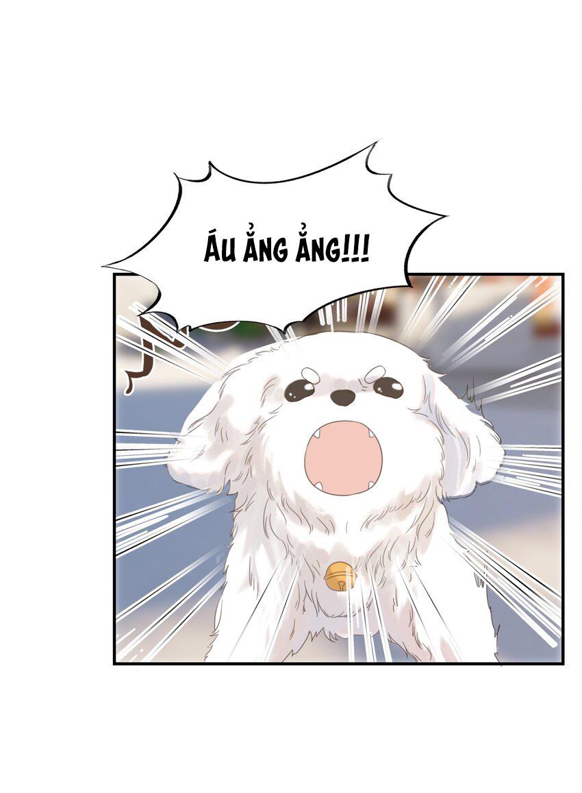 Hình Như Cầm Nhầm Kịch Bản Của Nữ Chính Rồi!: Chapter 65