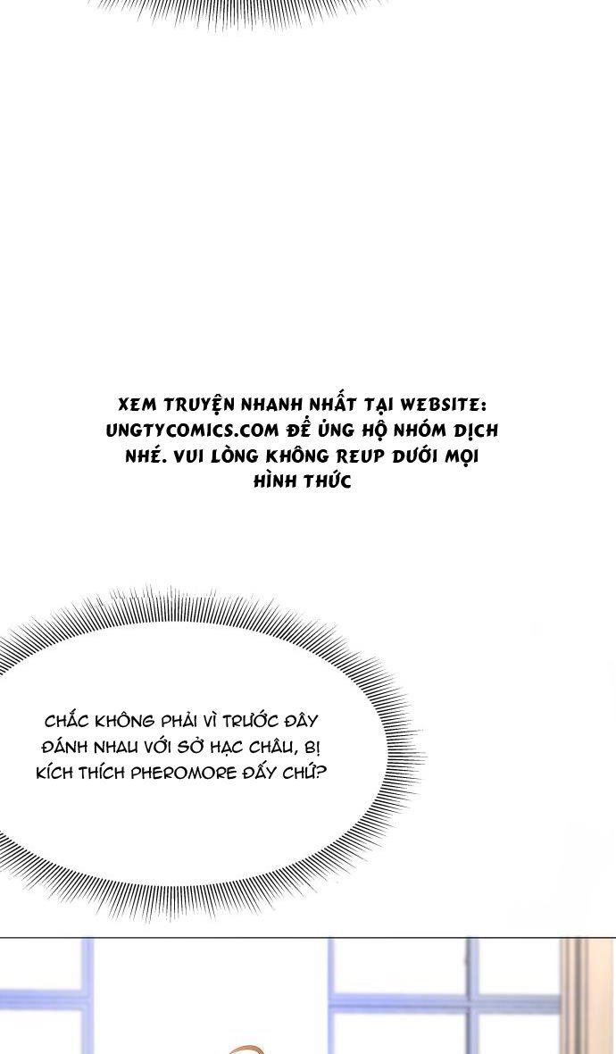 Học Bá Hôm Nay Chọc Đến Tiểu Nãi Bao Rồi Sao: Chapter 11