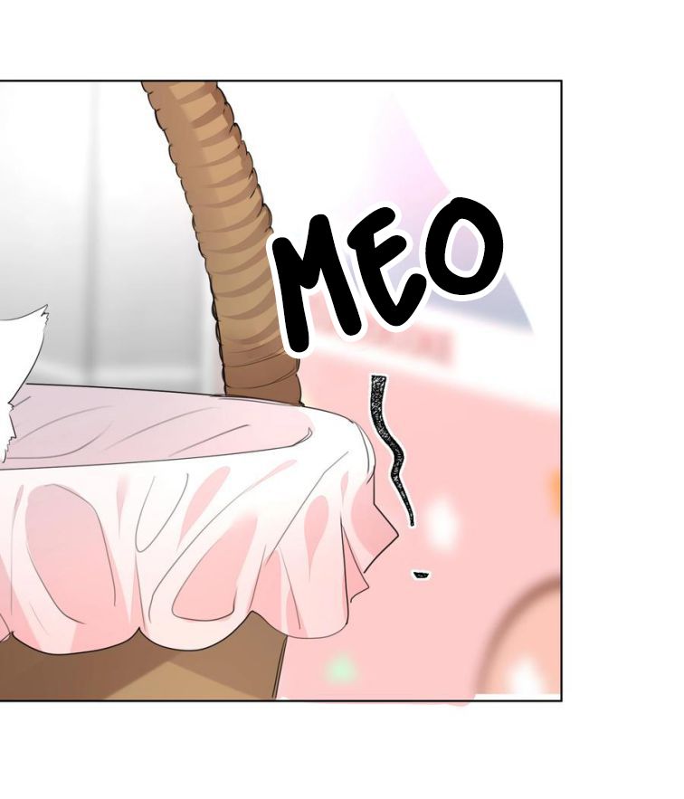 Học Bá Hôm Nay Chọc Đến Tiểu Nãi Bao Rồi Sao: Chapter 32
