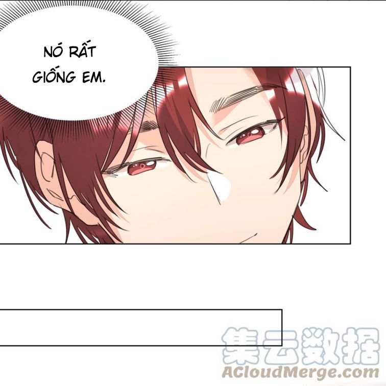 Học Bá Hôm Nay Chọc Đến Tiểu Nãi Bao Rồi Sao: Chapter 32