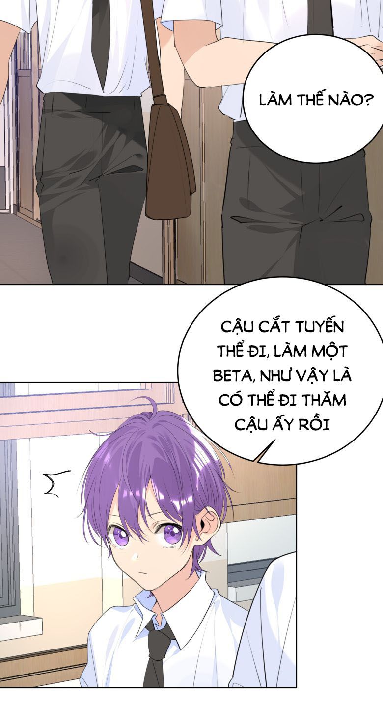 Học Bá Hôm Nay Chọc Đến Tiểu Nãi Bao Rồi Sao: Chapter 65