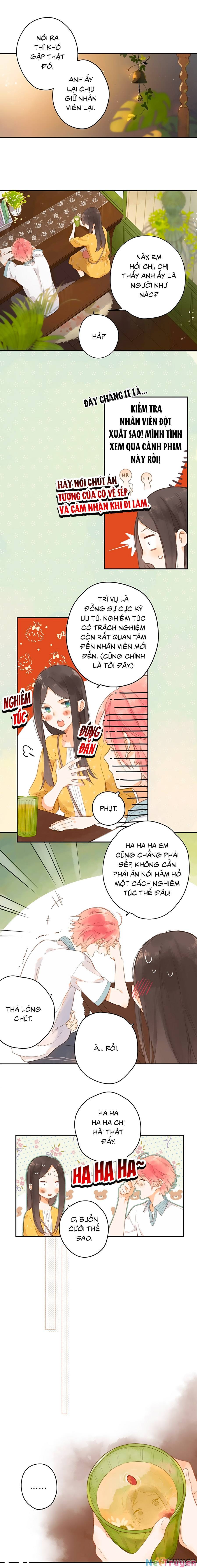 Ngôi Nhà Hướng Dương: Chapter 11