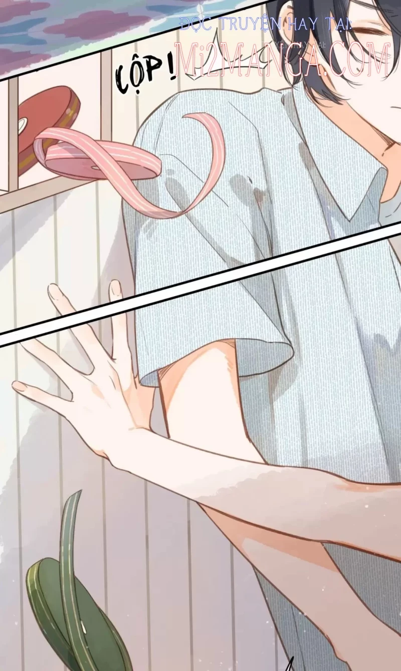 Ngôi Nhà Hướng Dương: Chapter 16.5