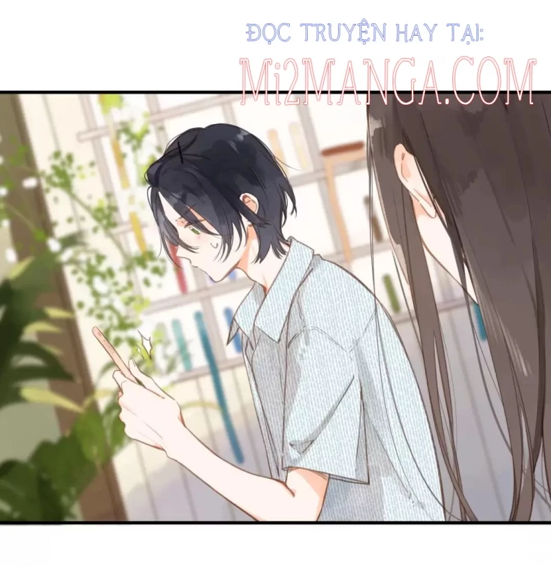 Ngôi Nhà Hướng Dương: Chapter 16
