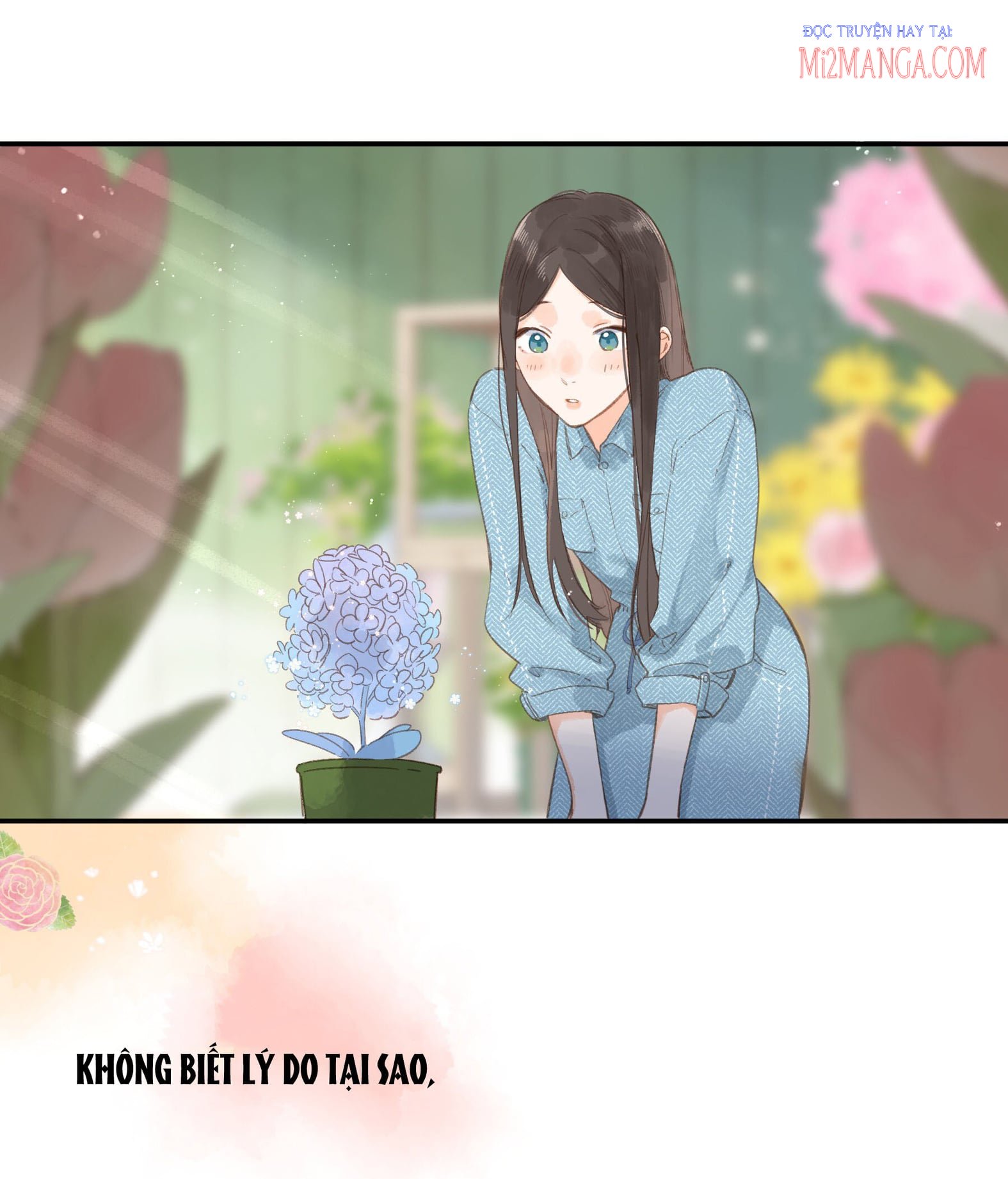 Ngôi Nhà Hướng Dương: Chapter 2