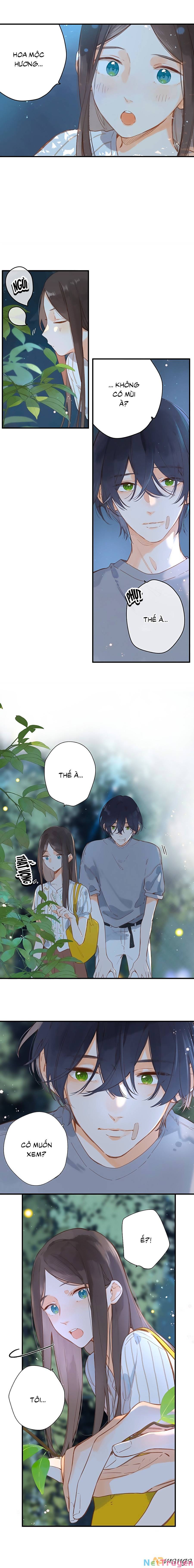 Ngôi Nhà Hướng Dương: Chapter 20