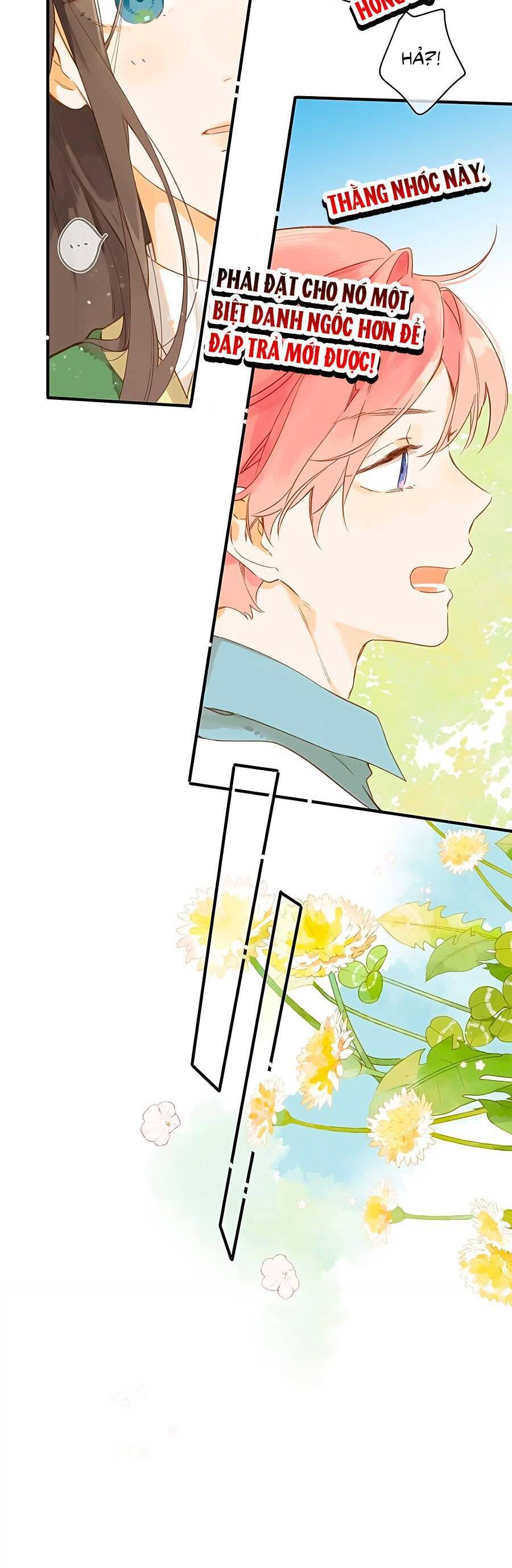 Ngôi Nhà Hướng Dương: Chapter 43