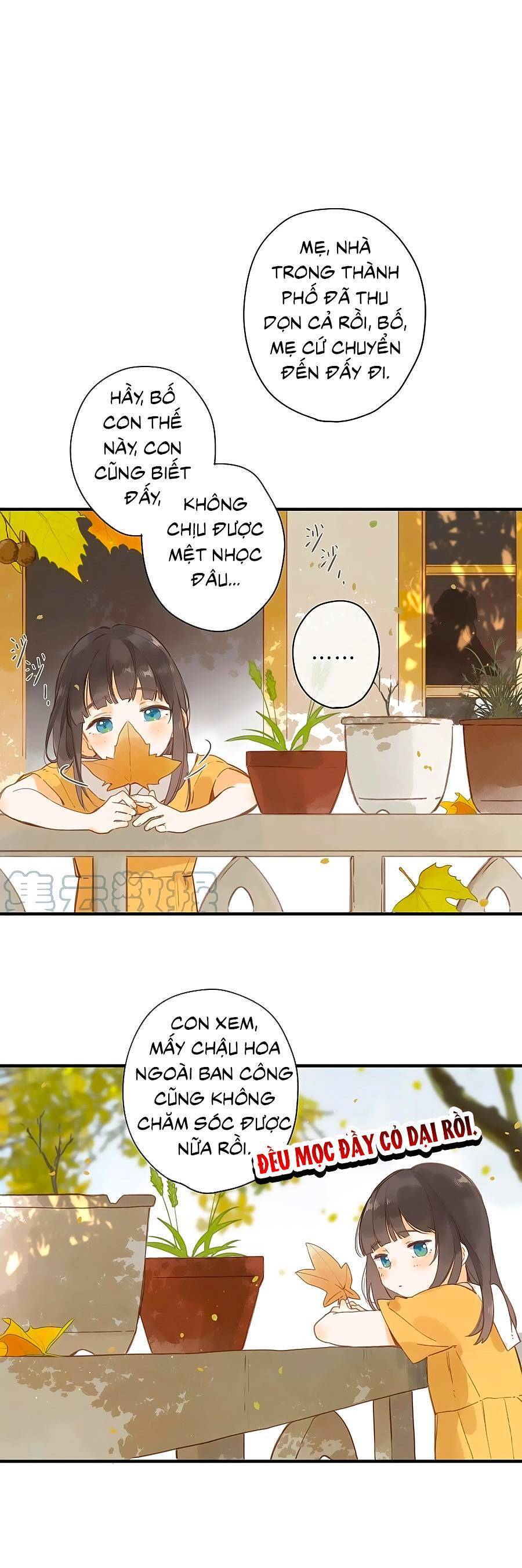 Ngôi Nhà Hướng Dương: Chapter 45