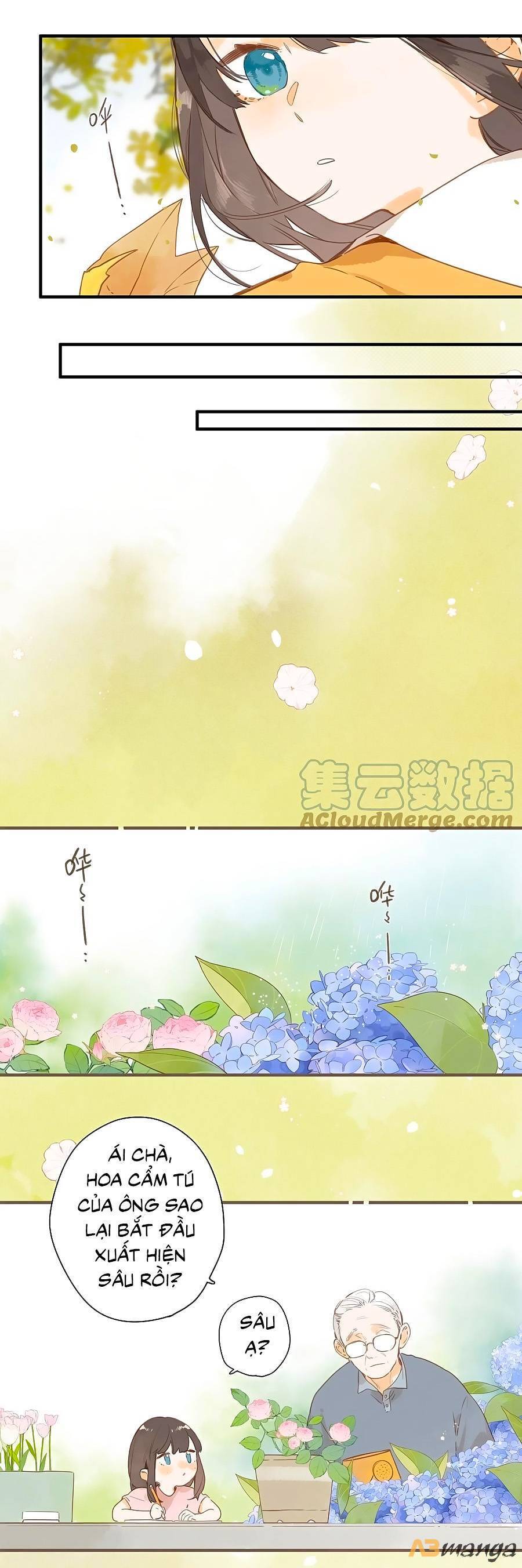 Ngôi Nhà Hướng Dương: Chapter 45