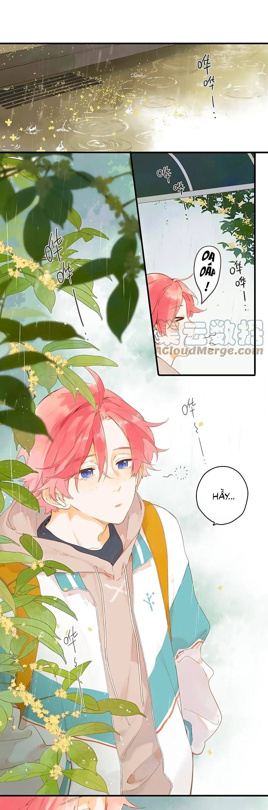 Ngôi Nhà Hướng Dương: Chapter 48