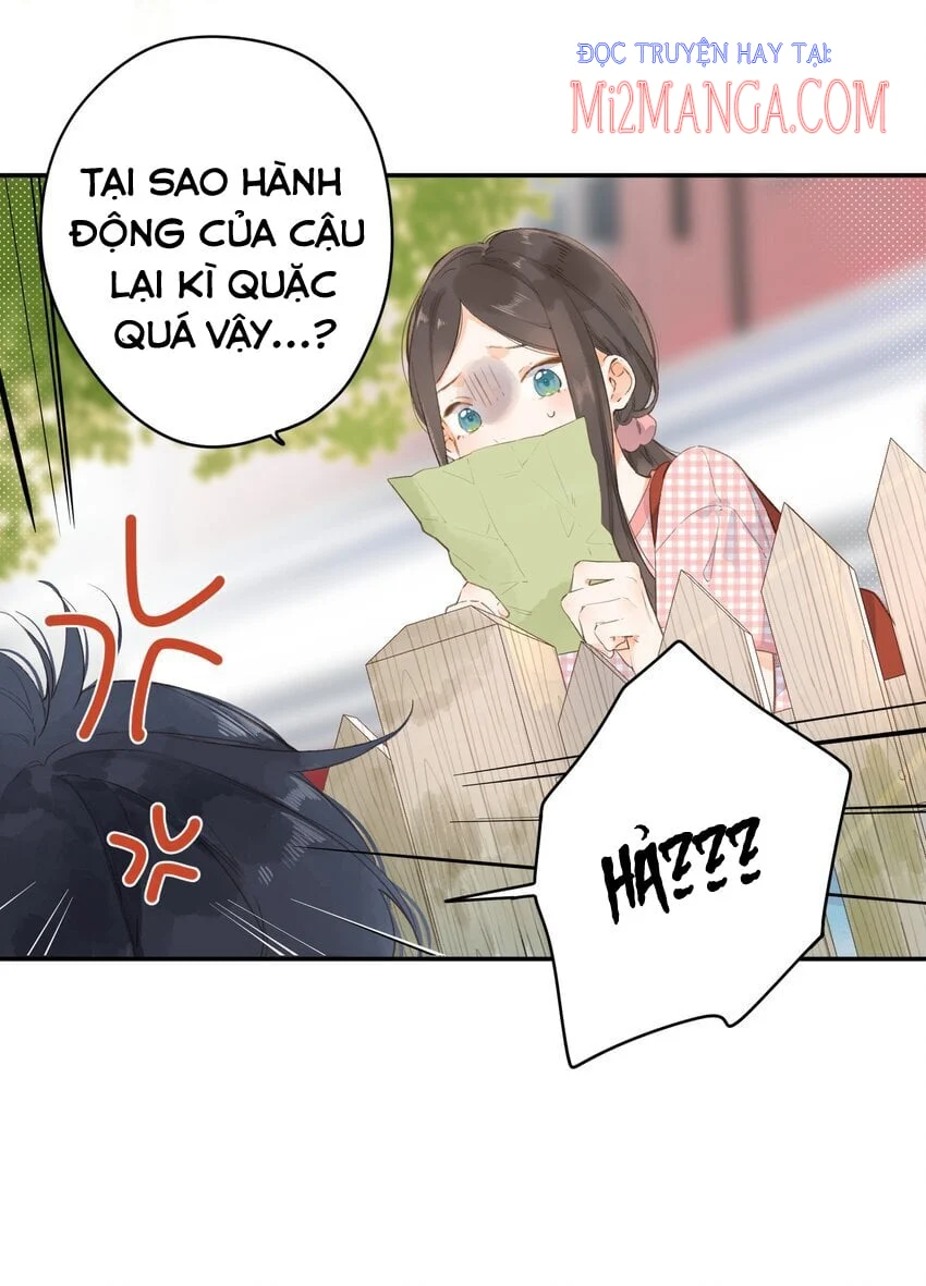 Ngôi Nhà Hướng Dương: Chapter 5