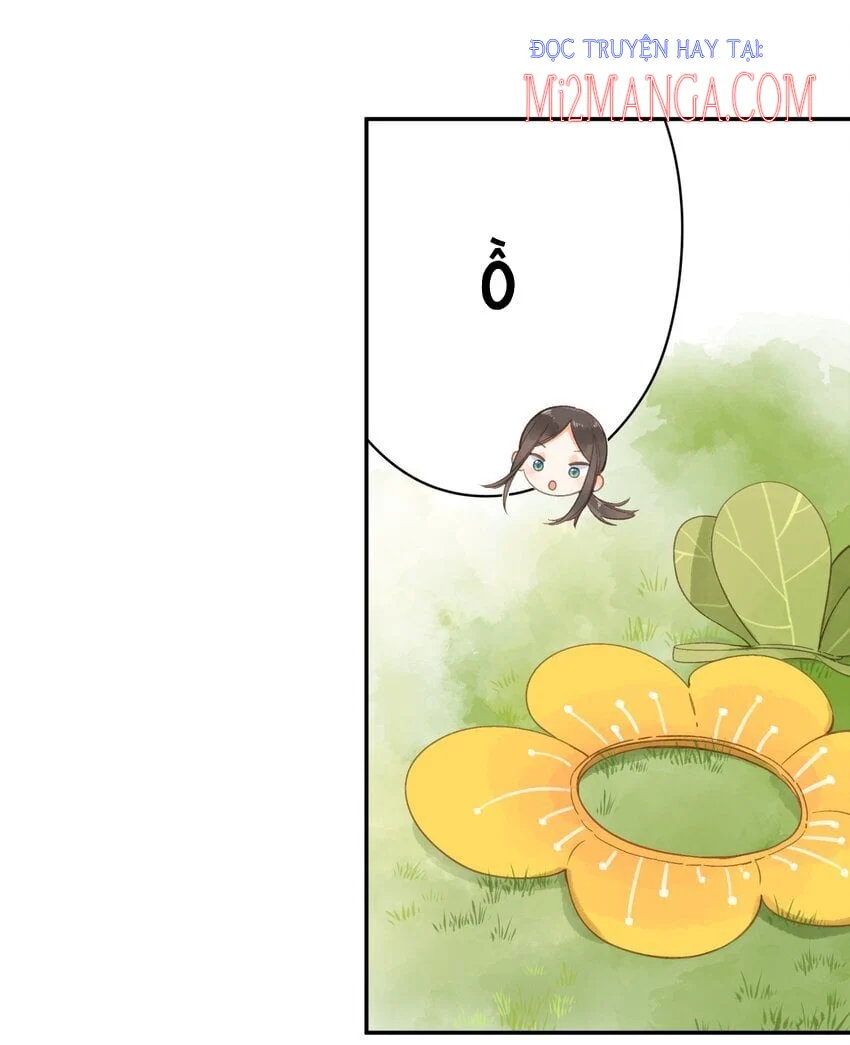 Ngôi Nhà Hướng Dương: Chapter 5