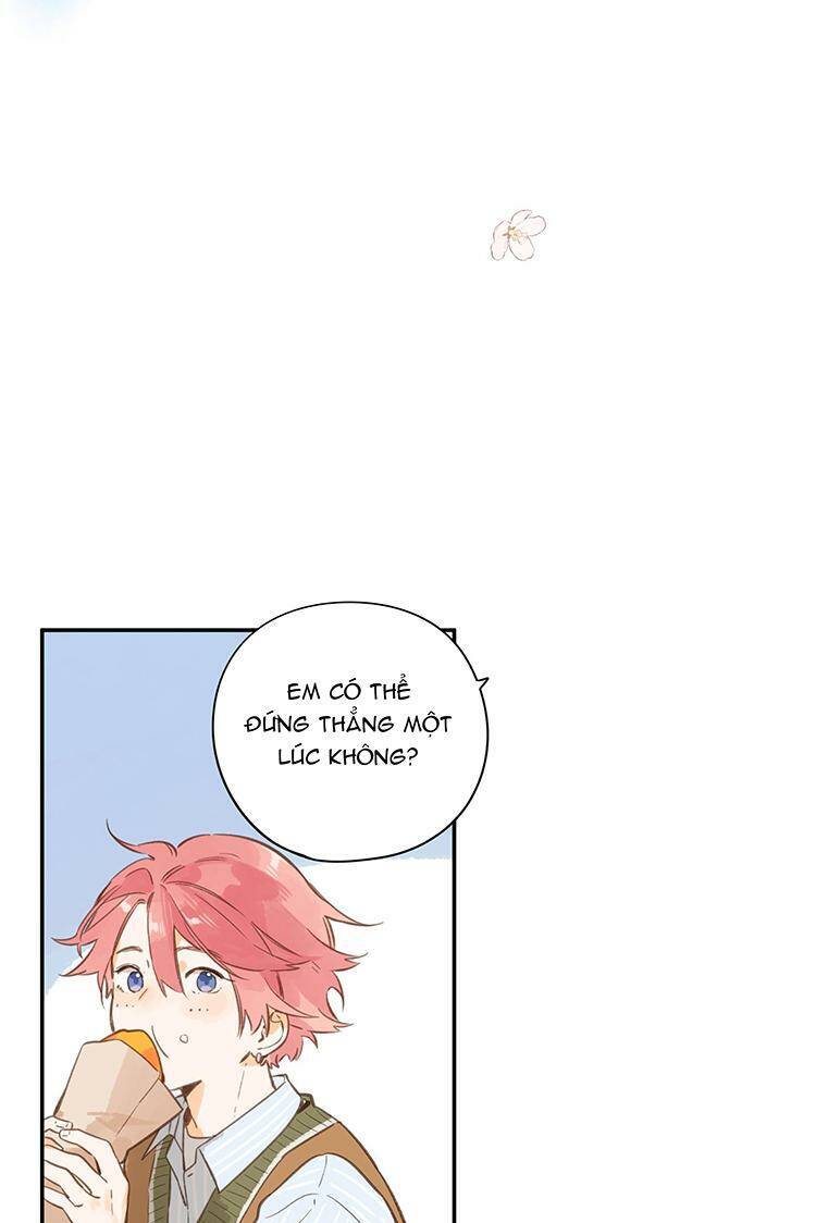Ngôi Nhà Hướng Dương: Chapter 56