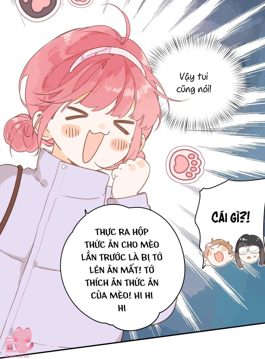 Ngôi Nhà Hướng Dương: Chapter 67