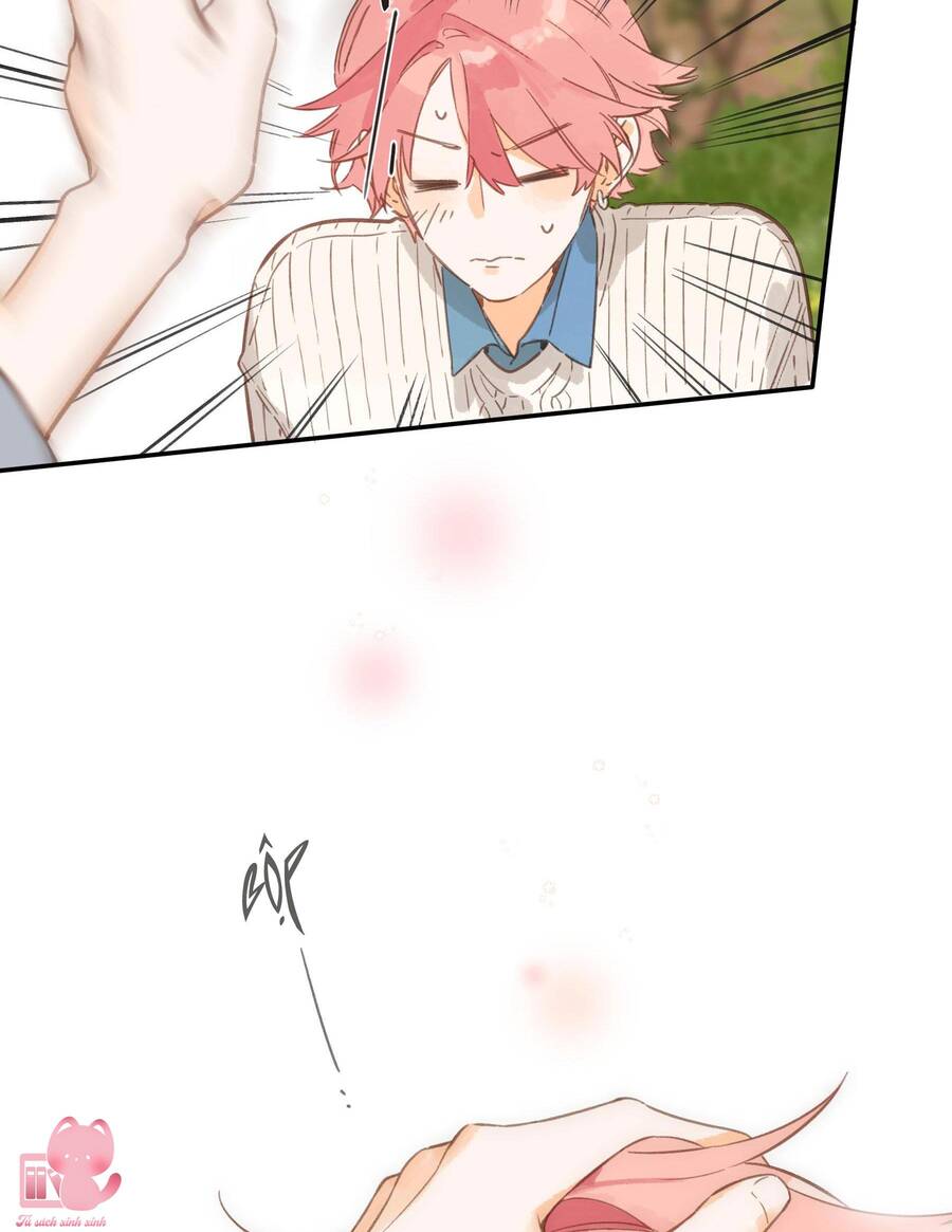 Ngôi Nhà Hướng Dương: Chapter 72