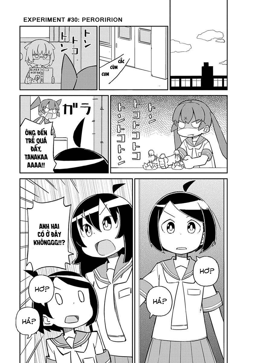 Ueno-San Wa Bukiyou: Chương 29