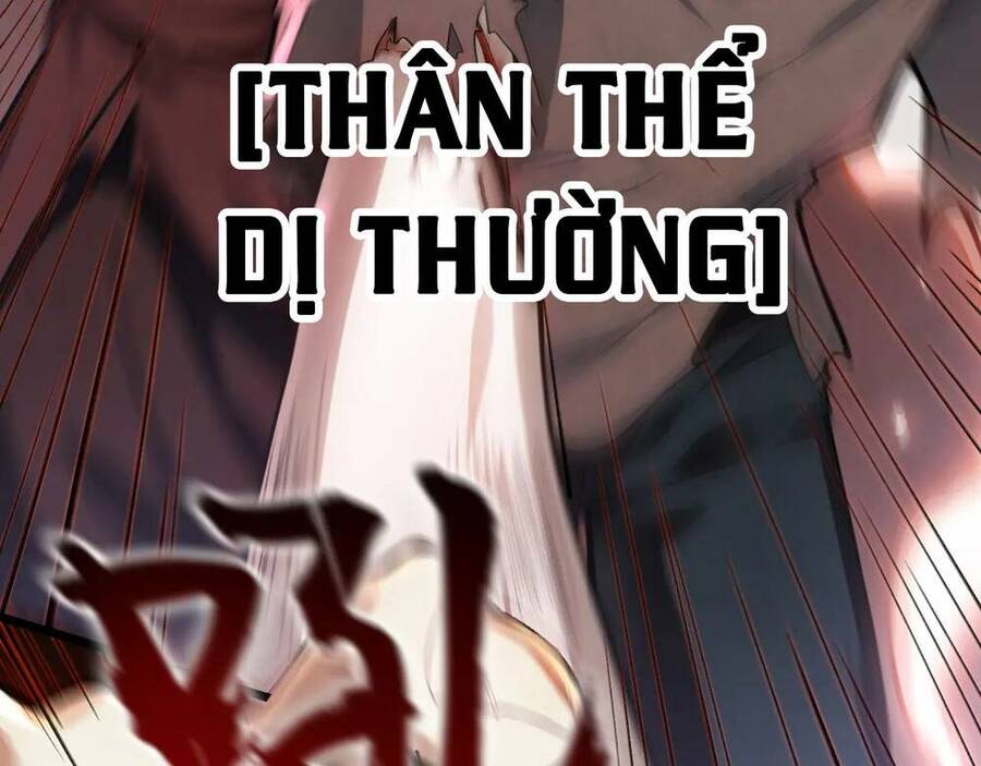 Nhà Sưu Tập Dị Thường: Chương 0