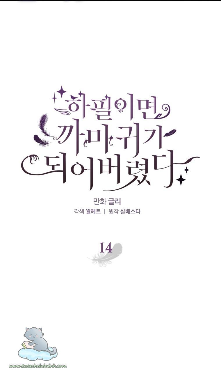 Nàng Quạ Bất Đắc Dĩ: Nàng Quạ Bất Đắc Dĩ – Chap 14