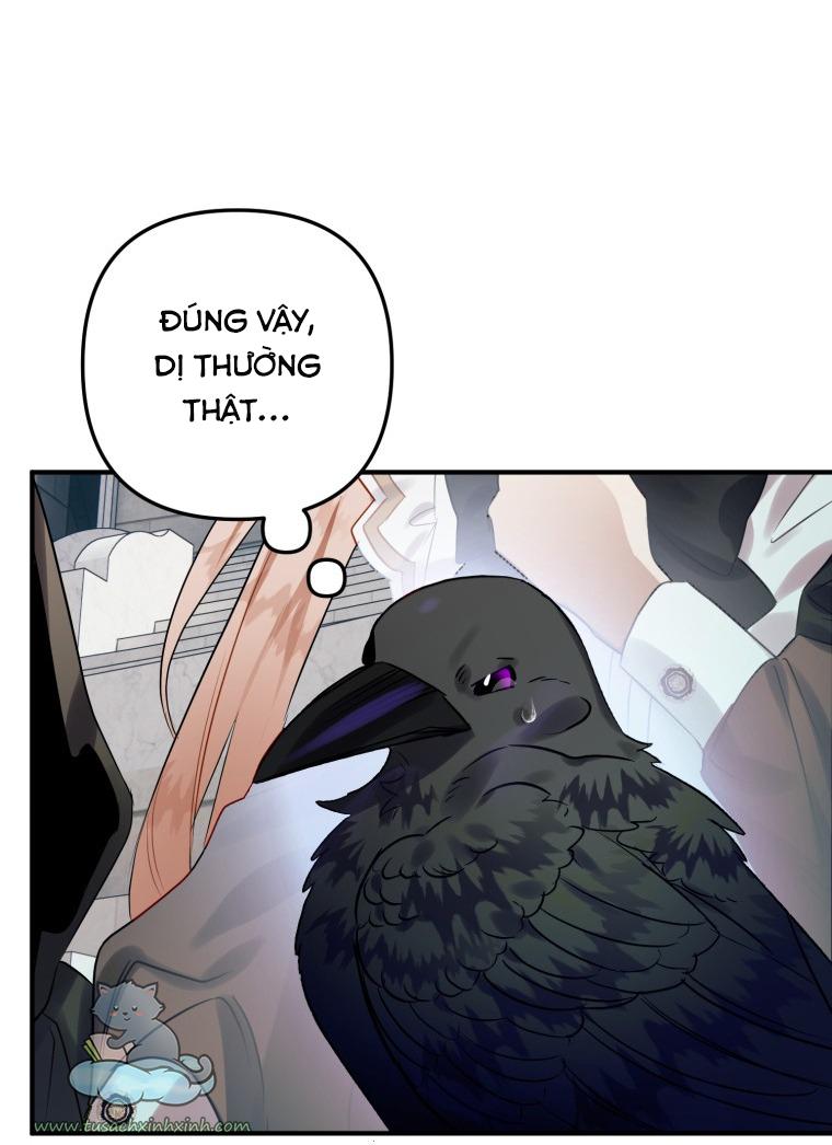 Nàng Quạ Bất Đắc Dĩ: Nàng Quạ Bất Đắc Dĩ – Chap 26