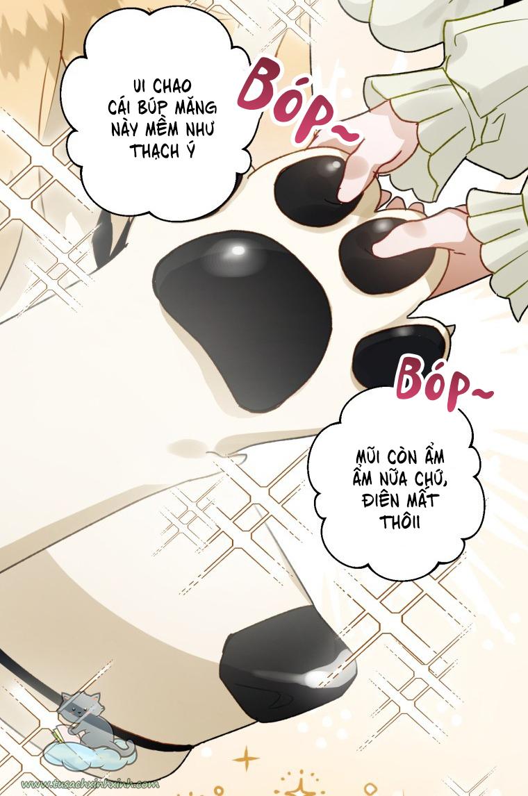 Nàng Quạ Bất Đắc Dĩ: Nàng Quạ Bất Đắc Dĩ – Chap 37