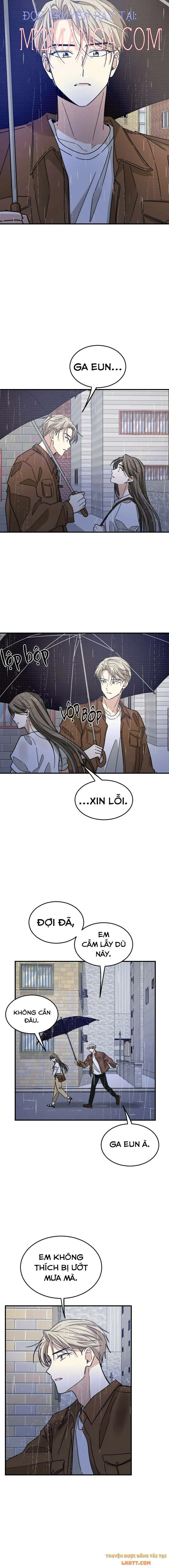 Những Người Bạn Của Em Trai Tôi: Chapter 40.5
