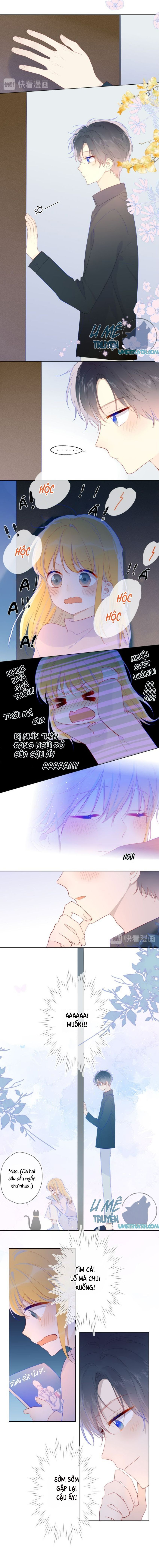 Vì Sao Của Tôi: Chapter 25