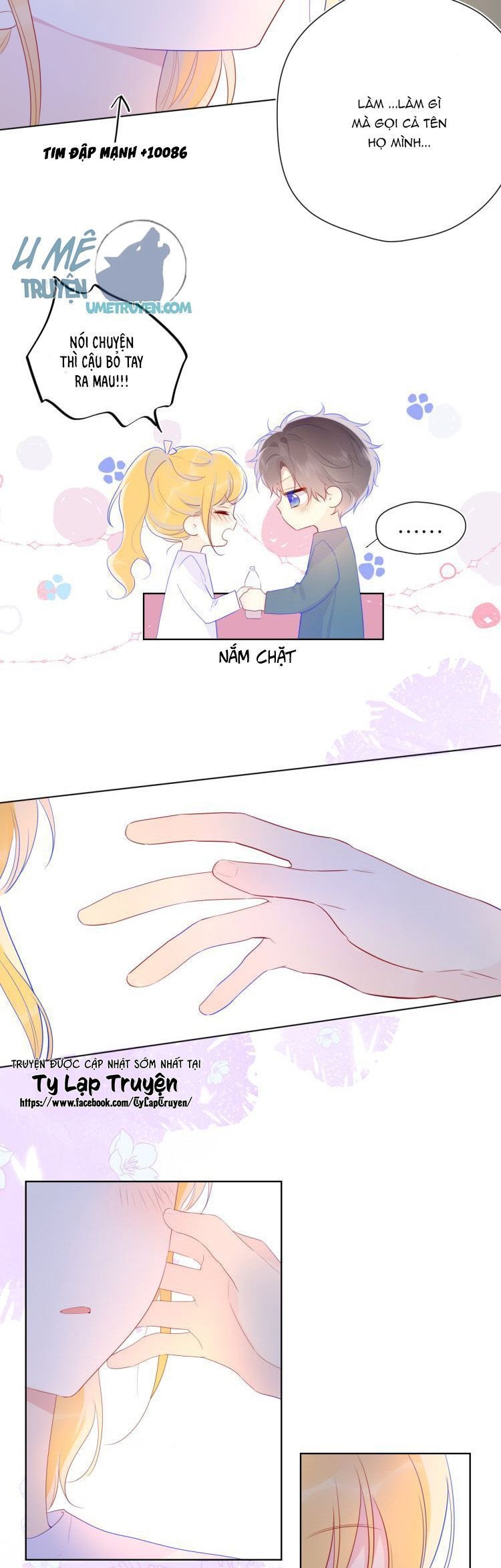 Vì Sao Của Tôi: Chapter 29