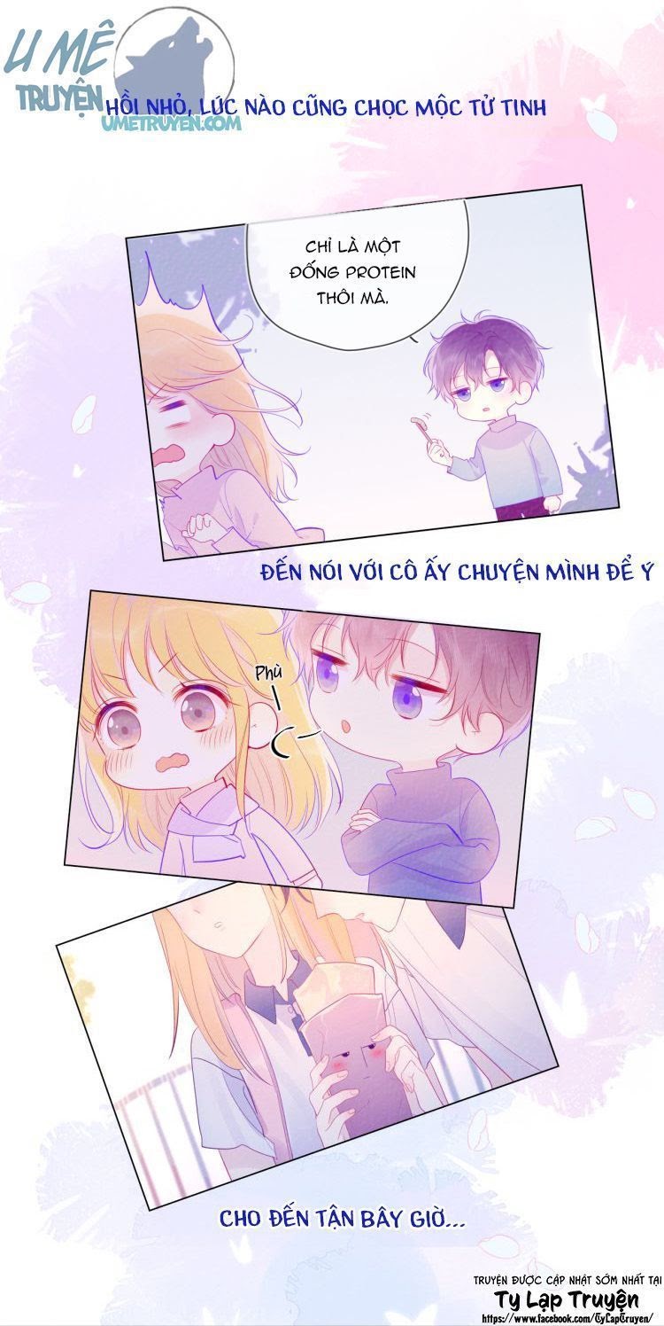 Vì Sao Của Tôi: Chapter 29