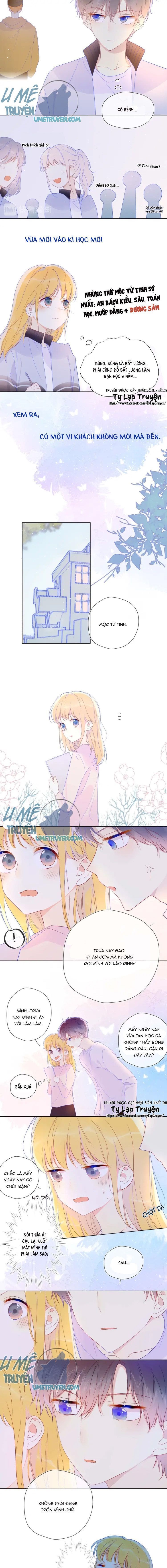 Vì Sao Của Tôi: Chapter 30