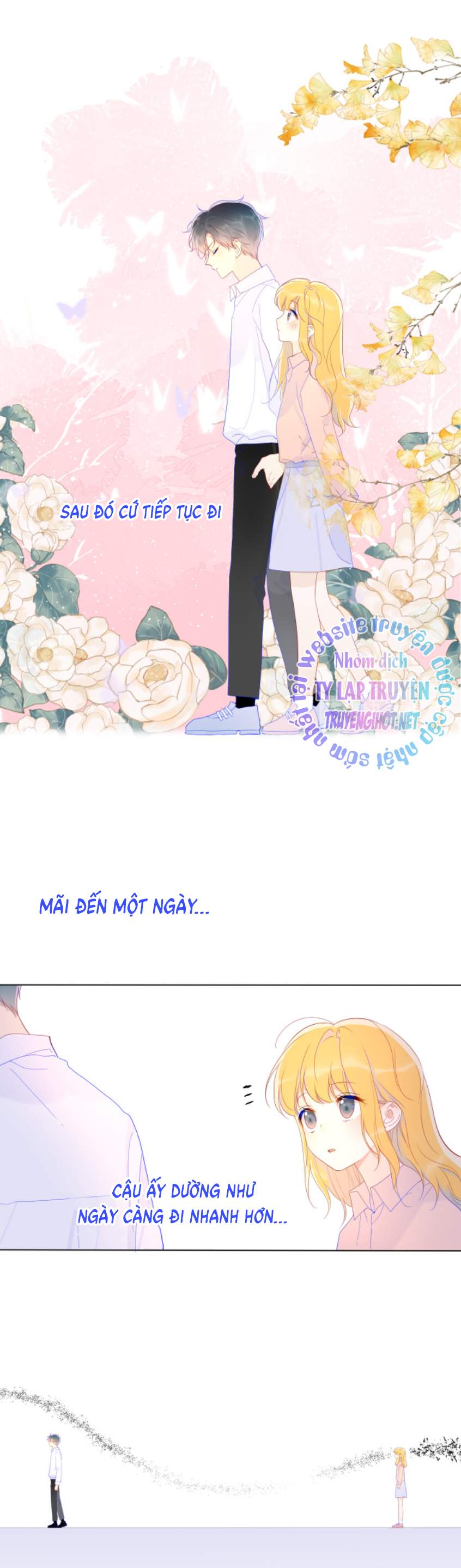 Vì Sao Của Tôi: Chapter 47